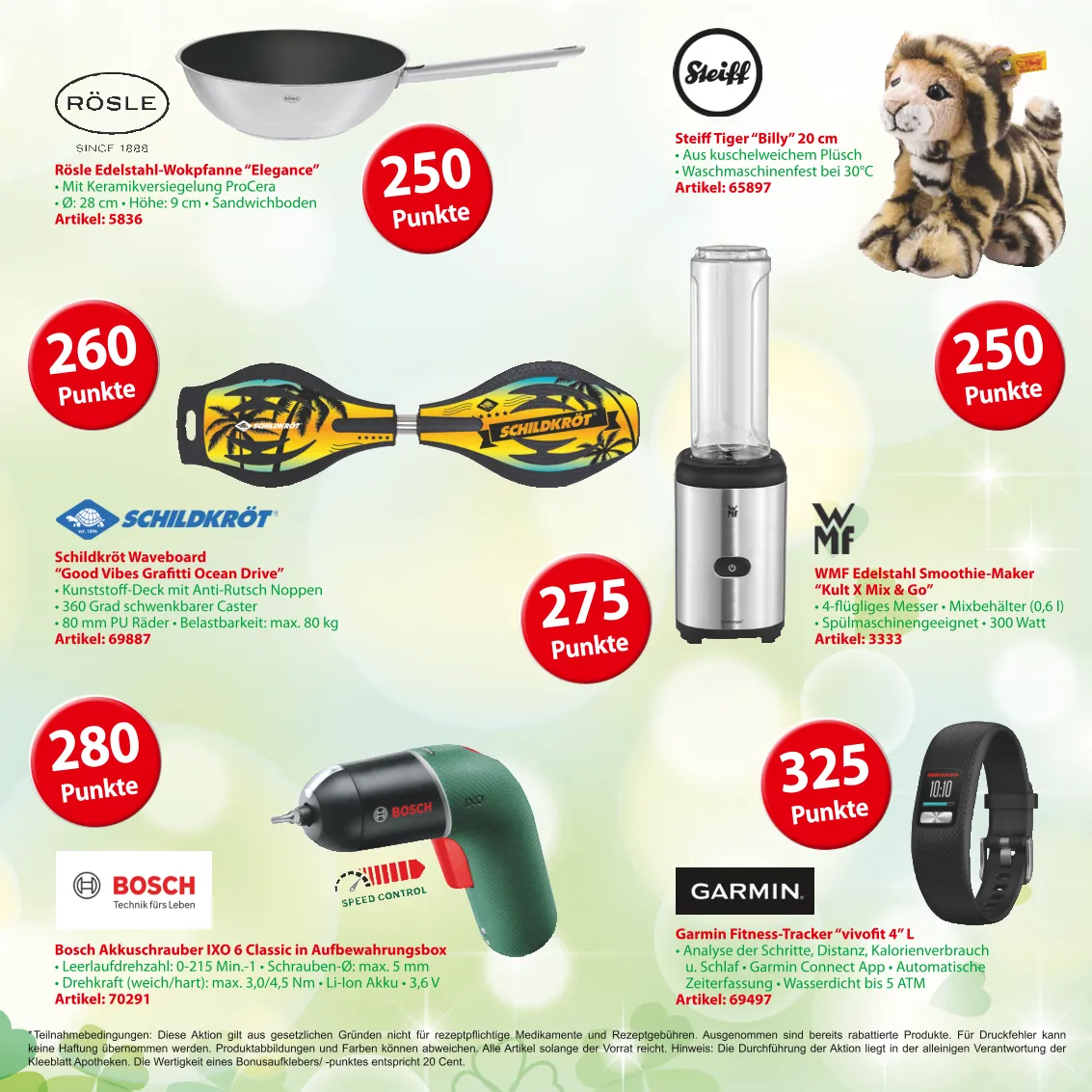 Flyer 6